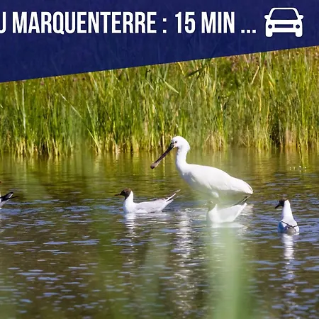 Tatil Evi Maison Avec Jardin Entre St-valery Et Le Crotoy Noyelles-sur-Mer